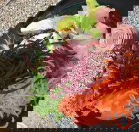 Cafe Rhubaba - Phillip Island Accommodation