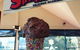Simmo's Ice Creamery - thumb 0