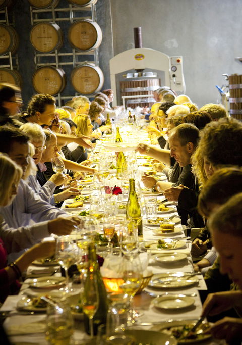 Dalwhinnie Wines - Phillip Island Accommodation 2