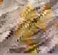 Taylors Lakes Fish  Chips - Phillip Island Accommodation