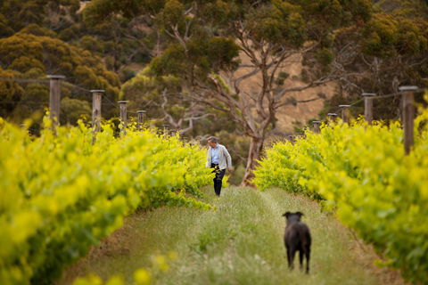 Islander Estate Vineyards - Phillip Island Accommodation 1