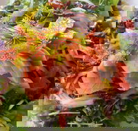 Thurlby Herb Farm Cafe - Phillip Island Accommodation