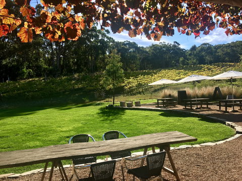 Deviation Road Winery - Phillip Island Accommodation 0