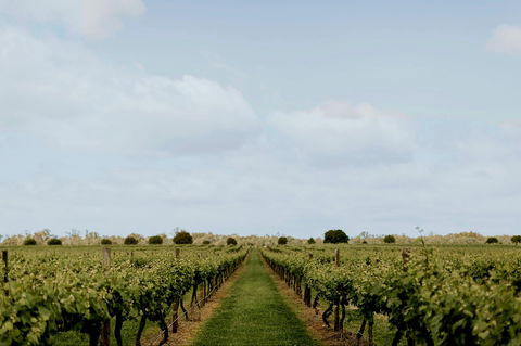Mitchelton Winery Estate - Phillip Island Accommodation 1