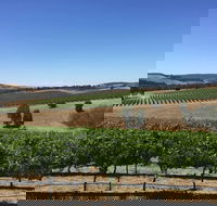 Peerick Vineyard and Winery - Phillip Island Accommodation