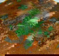 Yarra Valley Fish  Chips - Phillip Island Accommodation