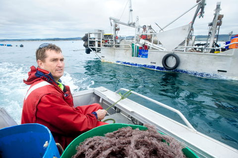 Peninsula Fresh Seafood - Phillip Island Accommodation 0
