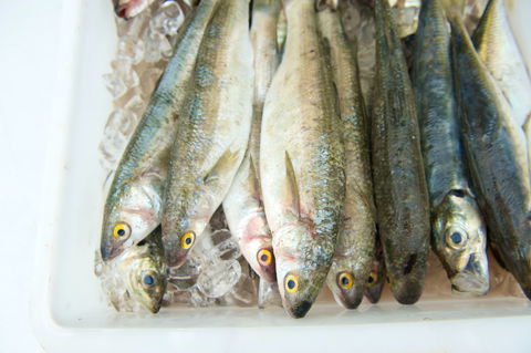 Peninsula Fresh Seafood - Phillip Island Accommodation 2