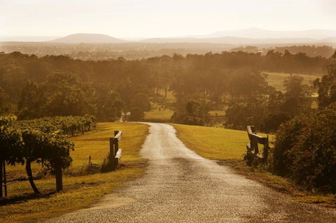 Petersons Wines - Phillip Island Accommodation 0