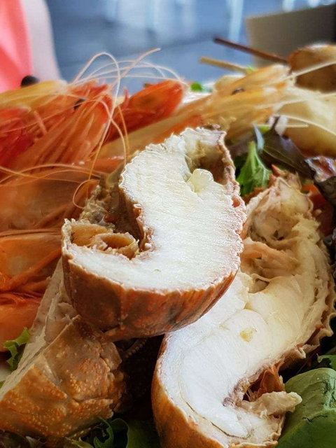 Bribie Island Surf Club - Phillip Island Accommodation 0