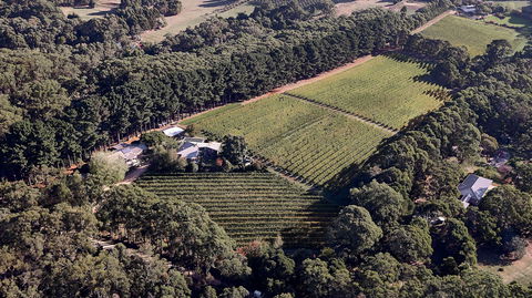 Main Ridge Estate - Phillip Island Accommodation 1