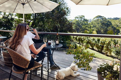 Main Ridge Estate - Phillip Island Accommodation 2