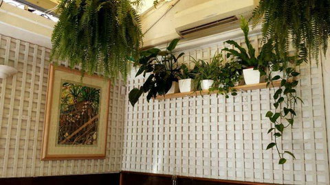 Plane Tree Cafe - Phillip Island Accommodation 0