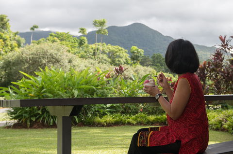 Daintree Ice Cream Company - Phillip Island Accommodation 1