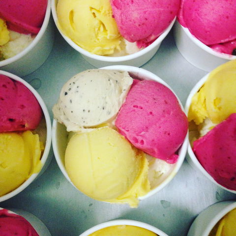 Daintree Ice Cream Company - Phillip Island Accommodation 2
