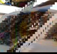 Mr Goz - Phillip Island Accommodation