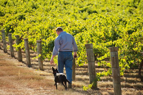 Eden Hall Wines - Phillip Island Accommodation 1