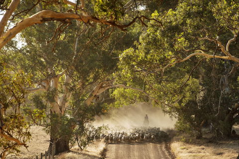 Eden Hall Wines - Phillip Island Accommodation 2