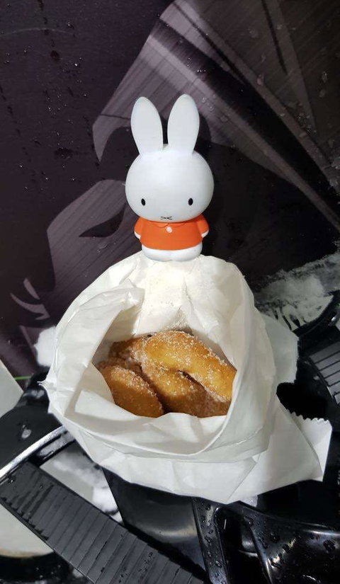 Lil' Orbit - Phillip Island Accommodation 0