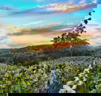 Between the Vines Cellar Door - Phillip Island Accommodation