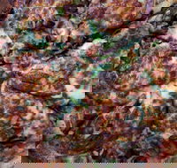 Pizza Kings - Phillip Island Accommodation