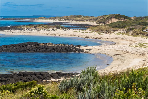 Time And Tide Tearoom - Phillip Island Accommodation 2