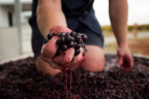 Tomfoolery Wines - Phillip Island Accommodation 0