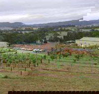 Villa d Esta Vineyard - Phillip Island Accommodation