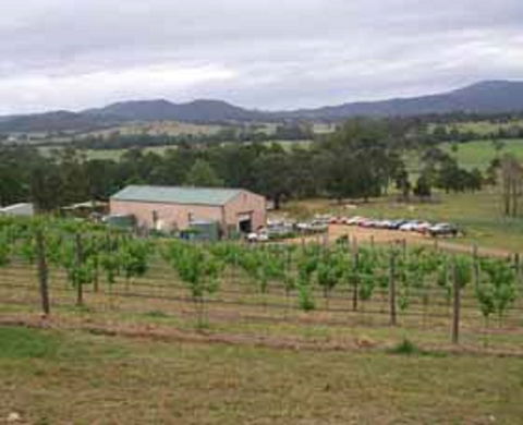 Villa D Esta Vineyard - Phillip Island Accommodation 0