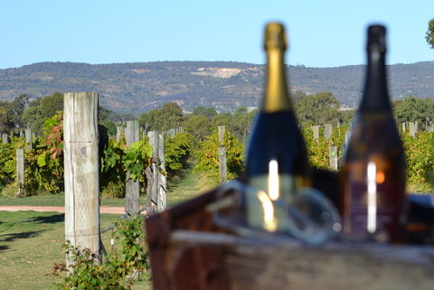 Ugly Duckling Wines - Phillip Island Accommodation 1