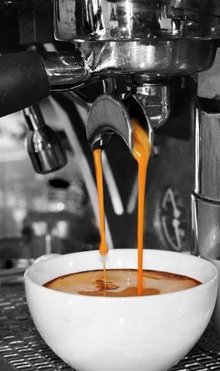 Arthouse Kitchen - Phillip Island Accommodation 7