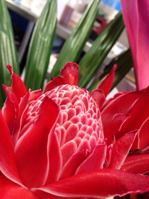 Ebb And Flow Cafe - Phillip Island Accommodation 3