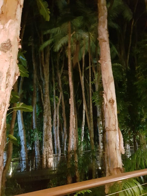 Paperbark Restaurant - Phillip Island Accommodation 2