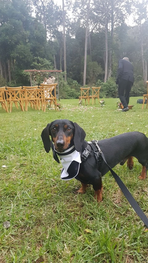 O’Reilly’s Canungra Valley Vineyards - Phillip Island Accommodation 2