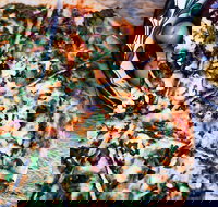 Earth n Sea Amazing Pizza  Pasta - Phillip Island Accommodation