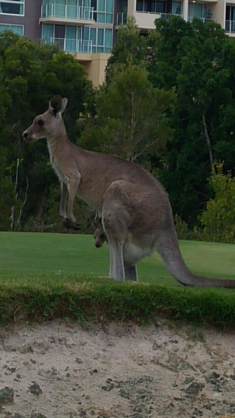 T On Course - Phillip Island Accommodation 6