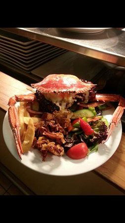 Safari Club Bar & Grill - Phillip Island Accommodation 0