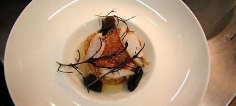 The Peak Restaurant At Spicers Peak Lodge - Phillip Island Accommodation 1