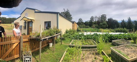 Springfield Tea Room - Phillip Island Accommodation 0