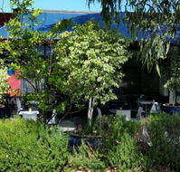 Bishop and Clove - Phillip Island Accommodation