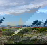 Coffee Cat - Phillip Island Accommodation