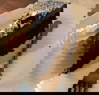 Dome - Phillip Island Accommodation