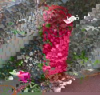 Secret Garden Adult Devonshire Tea House - Phillip Island Accommodation