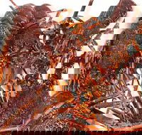 Sails Restaurant - Phillip Island Accommodation