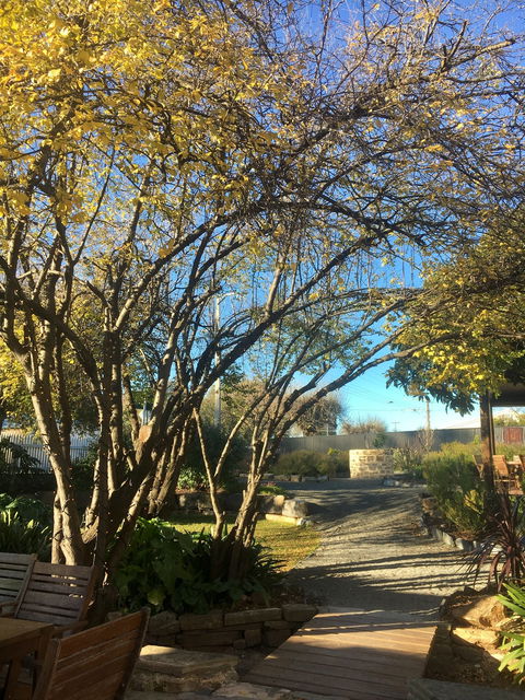 Velvet And Willow Wines - Phillip Island Accommodation 10