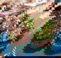 The Galleon Takeaway - Phillip Island Accommodation