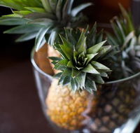 The Caf Coolum - Phillip Island Accommodation