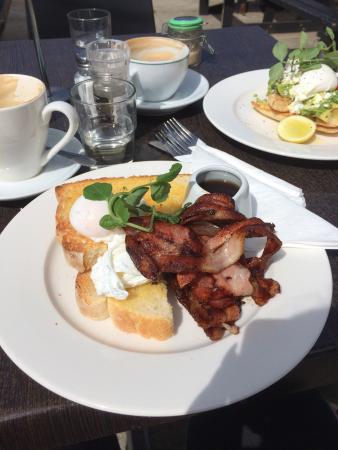 Cheeky Cow Cafe - Phillip Island Accommodation 0