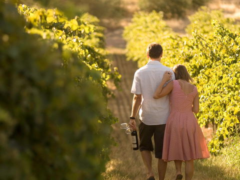 Novotel Barossa Valley Resort - Phillip Island Accommodation 1