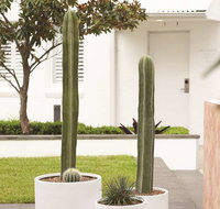 Adina Apartment Hotel Chippendale - Phillip Island Accommodation